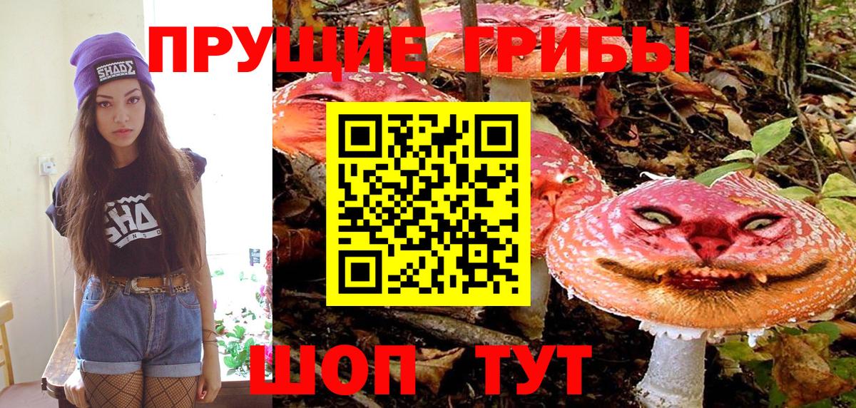Псилоцибиновые грибы прущие грибы Каспийск